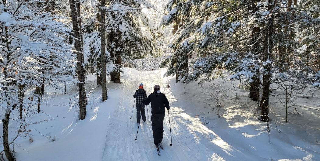 two people cross country skiing in the snowy woods at Osceola Tug Hill