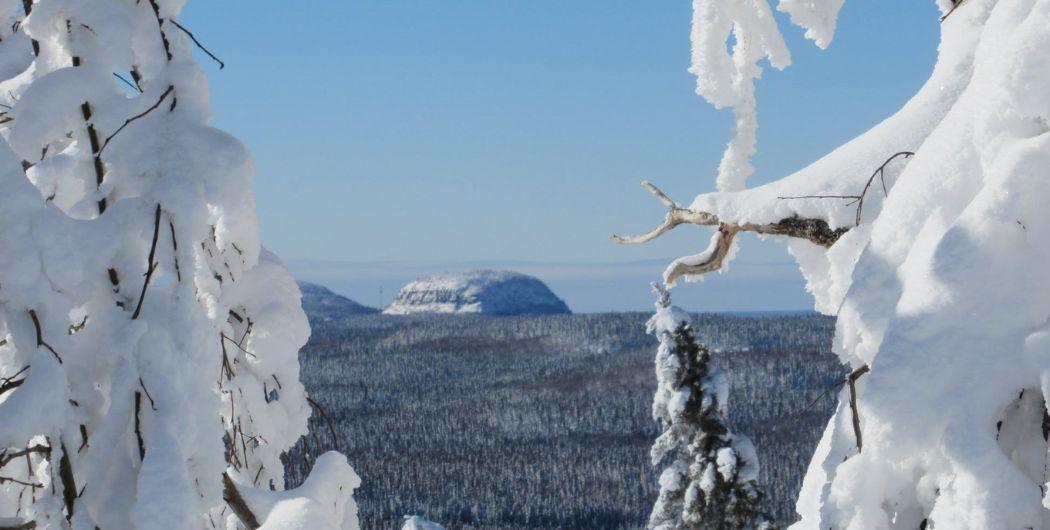 view from Mont-Kanasuta with snowy trees