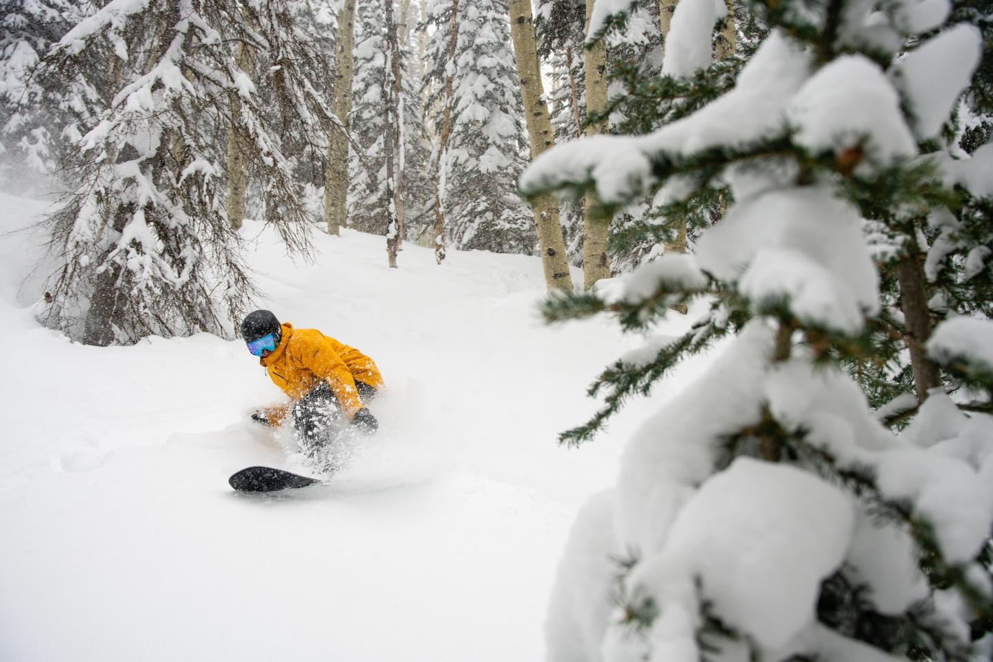 Powderhorn, CO
