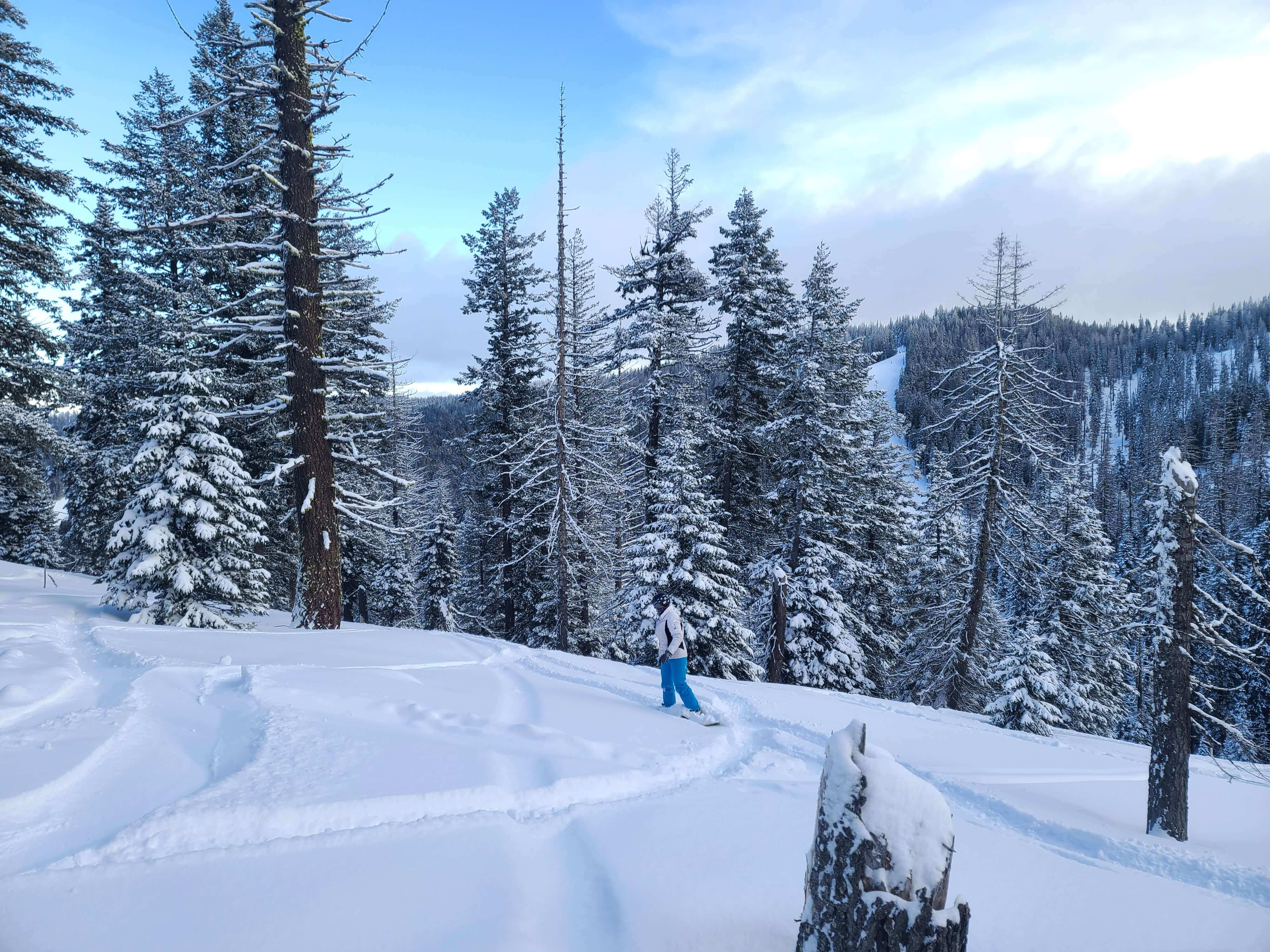 Andrea Snowboarding powder at Bluewood, WA