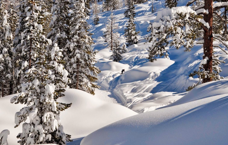 dodge ridge fresh snow