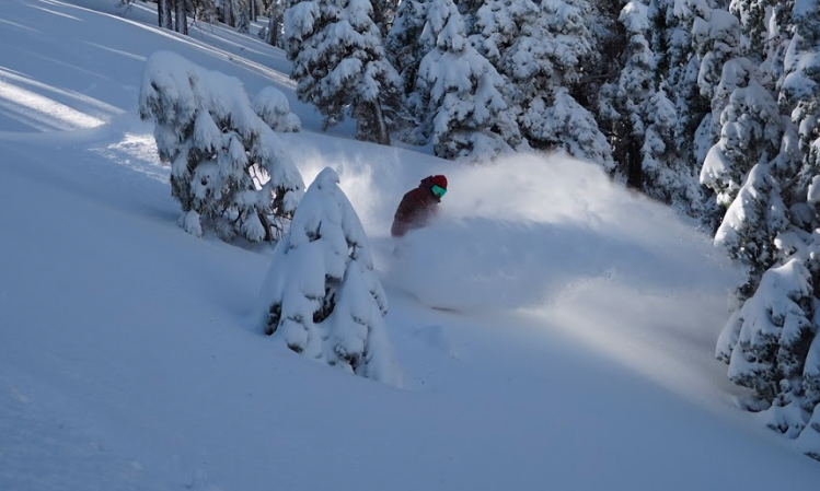 powder slash