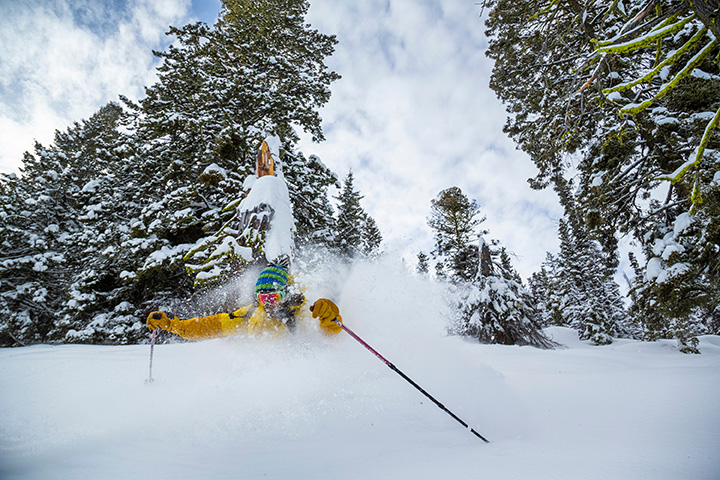 skier in powder at Tamarack