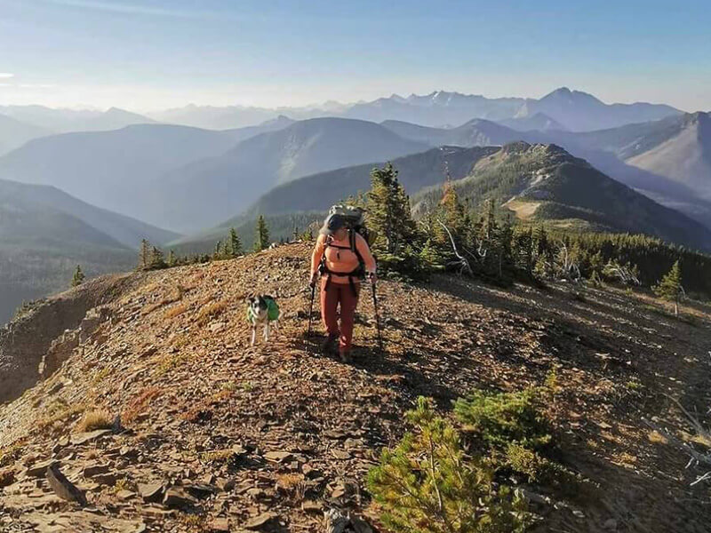 woman hiking with a dog above the treeline at Castle Mountain, Canada