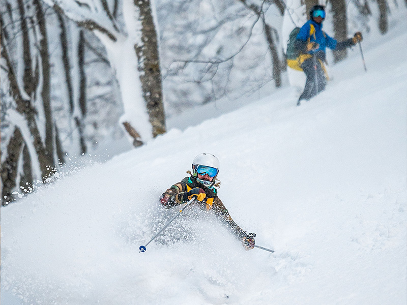 Skier riding deep powder in Japan