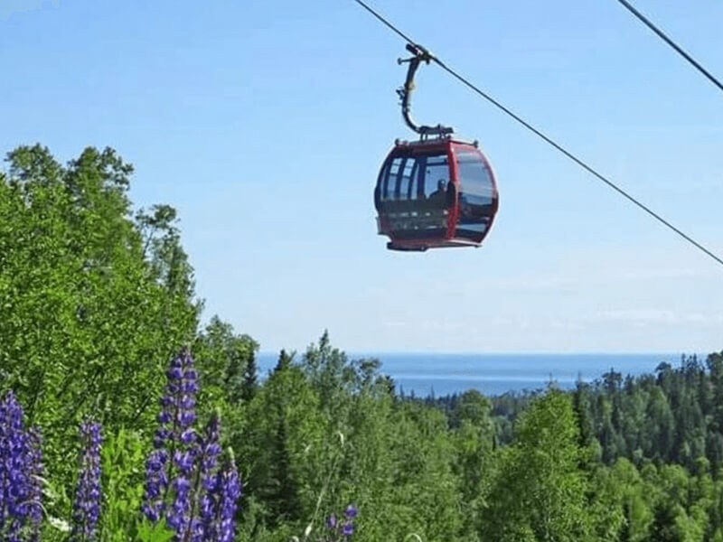 Gondola at Lutsen Meadows, MN, an Indy Pass Partner Resort, going over wildflowers
